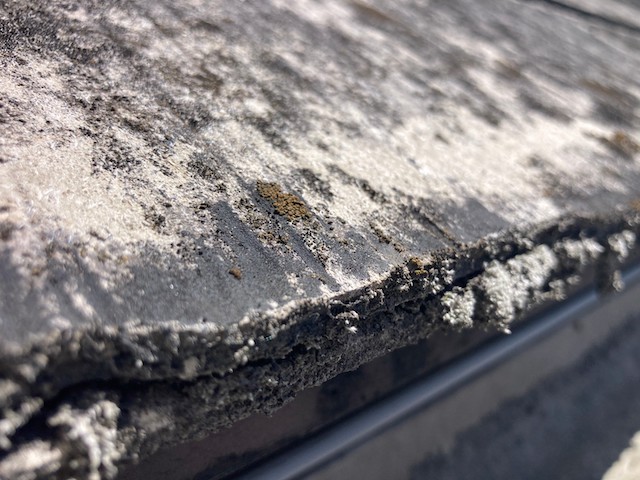 苔が発生したカラーベスト